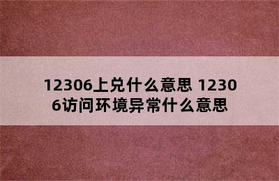 12306上兑什么意思 12306访问环境异常什么意思